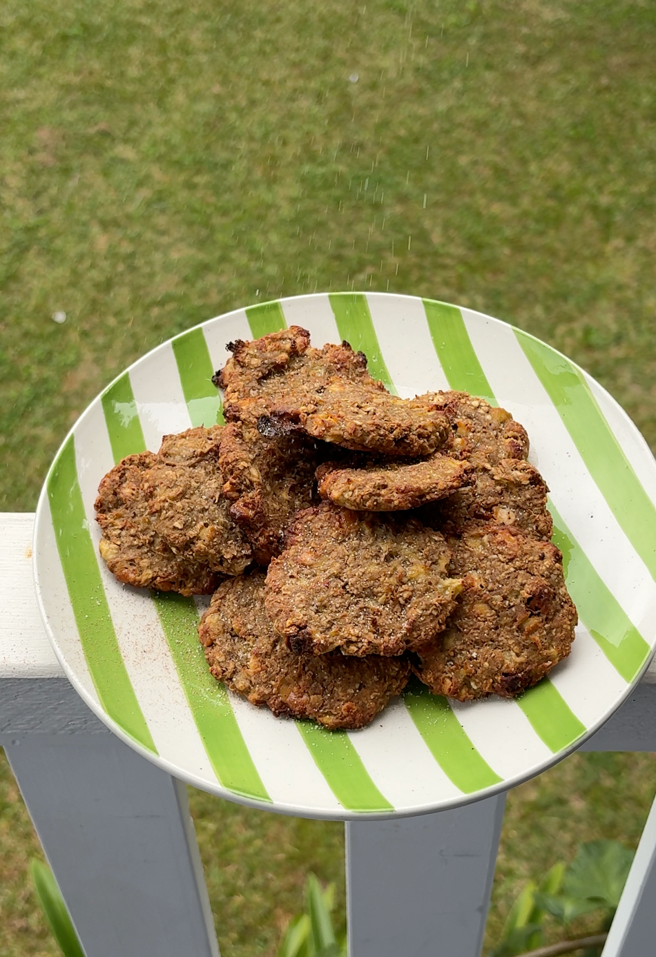 Low Calorie Apple & Cinnamon Cookies
