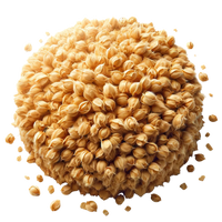Image of grains arranged in a circle  